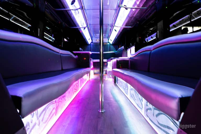  VIP Party Bus "Platinum" in Minneapolis 