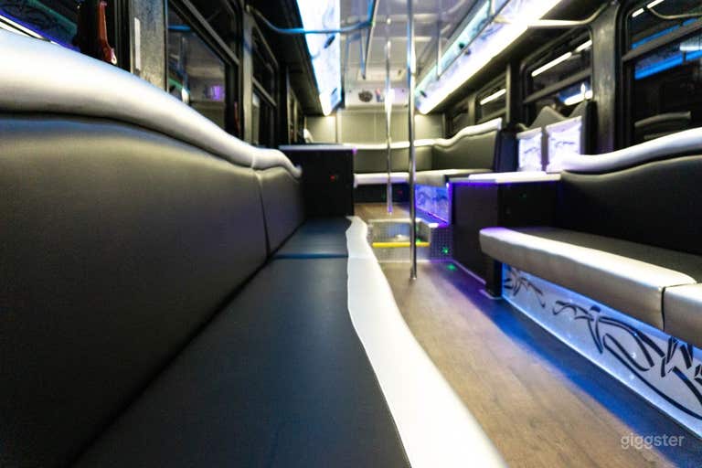  VIP Party Bus "Platinum" in Minneapolis 