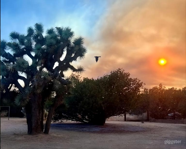  Vintage Ranch Setting with Long Driveway & Natural Landscape 