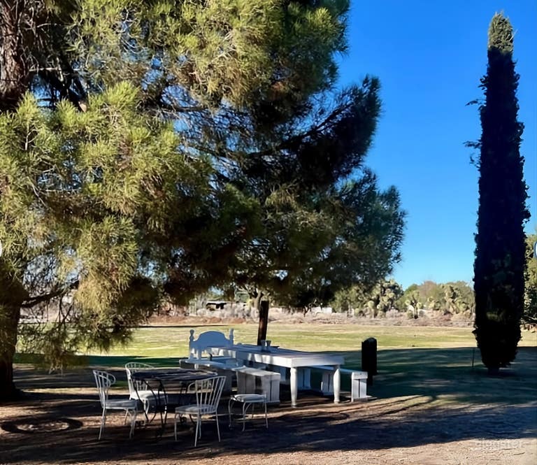  Vintage Ranch Setting with Long Driveway & Natural Landscape 