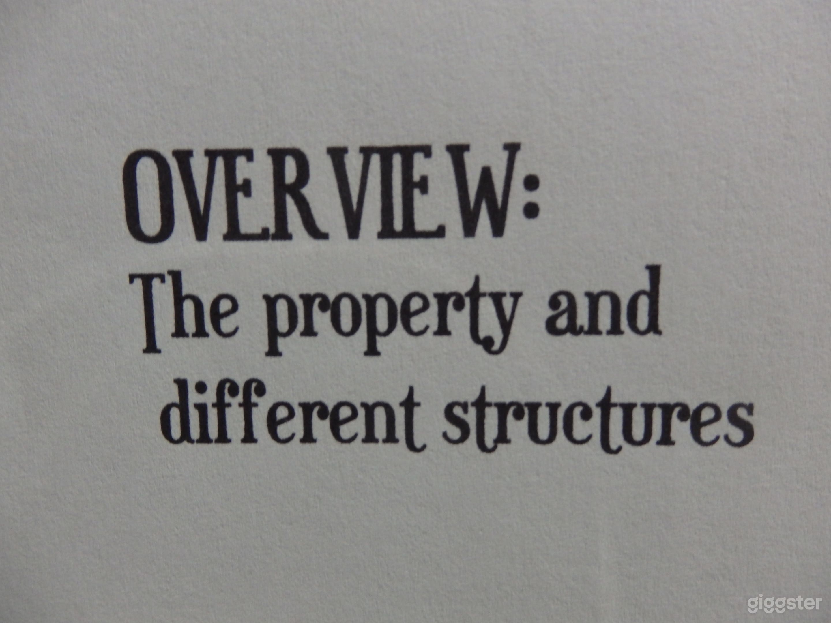 Carriage House Apt / Basement Studio &amp; Yarden  Photo 4