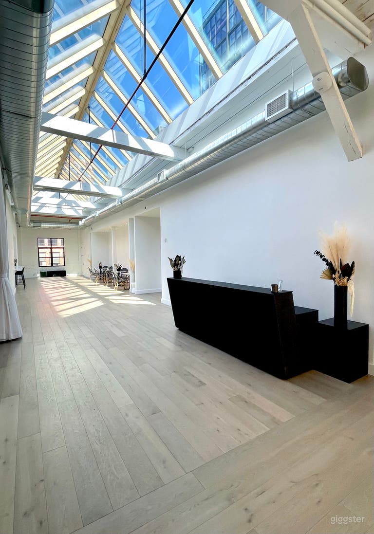  View of the first skylight corridor, located just right of the elevator when you enter the floor 