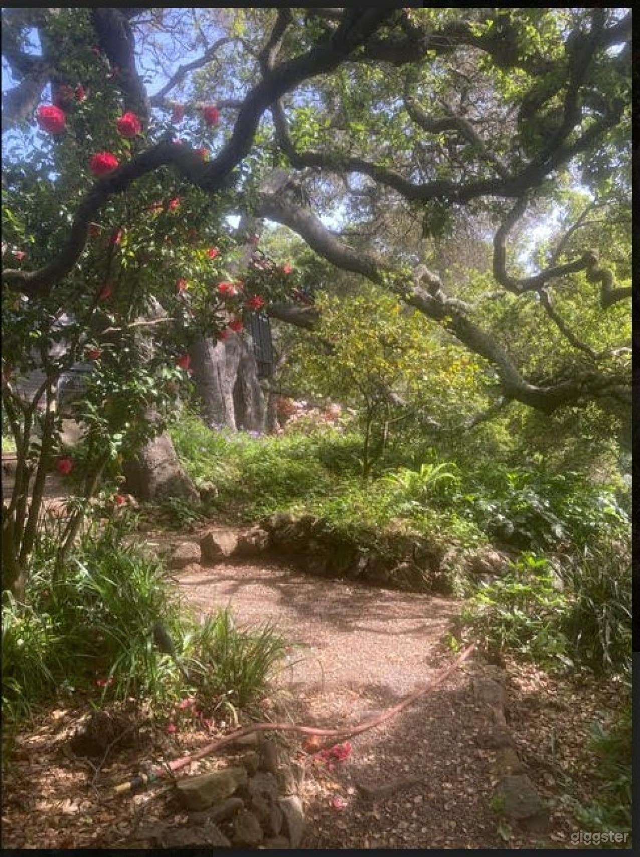 Stunning Hilly Garden Photo 2