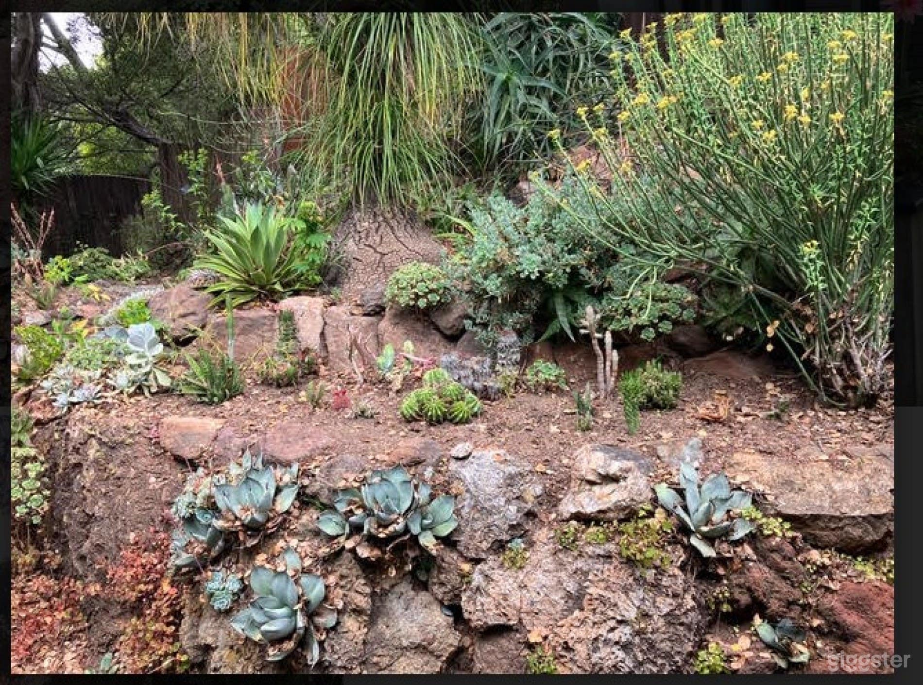 Stunning Hilly Garden Photo 3