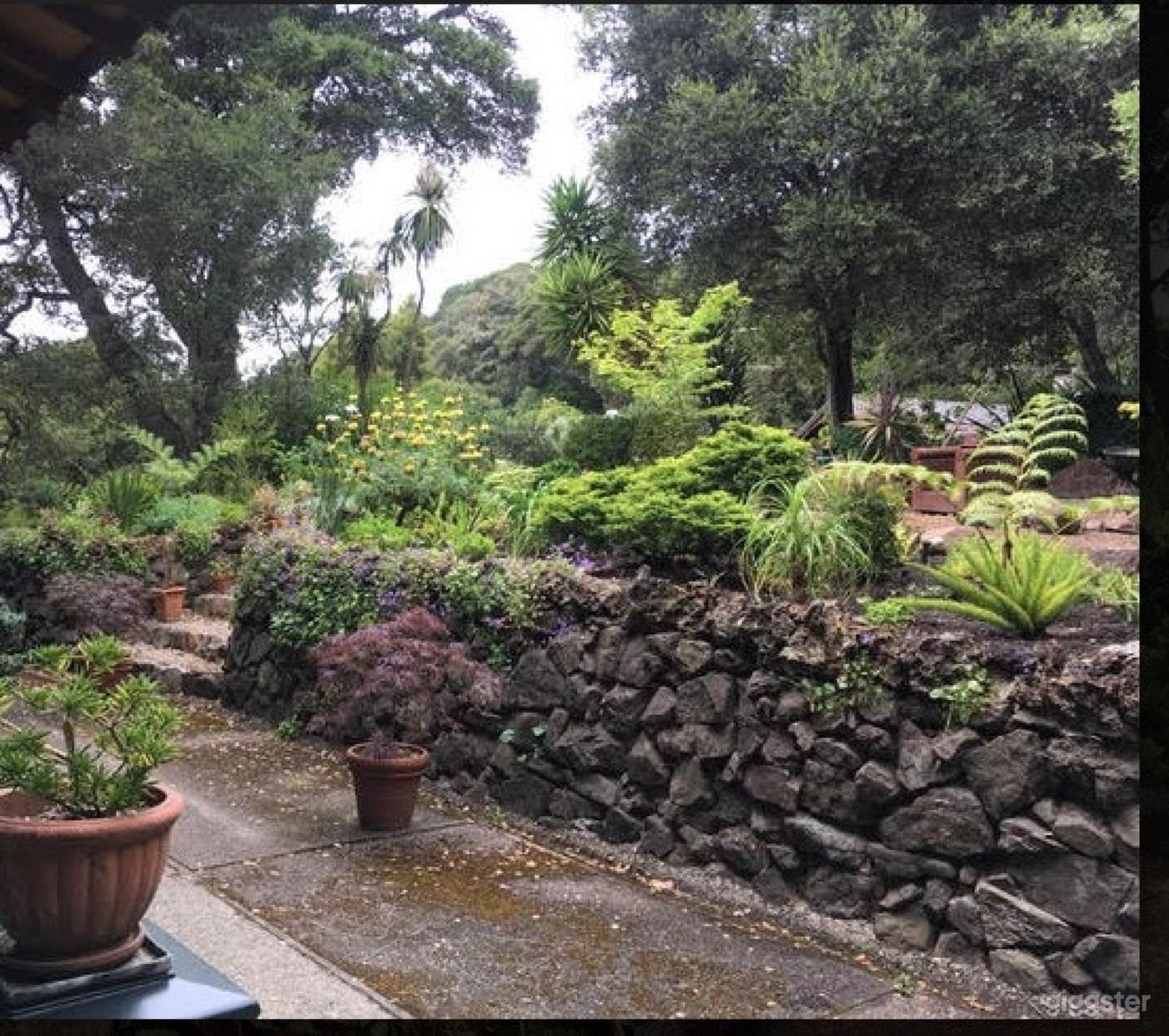 Stunning Hilly Garden Photo 1