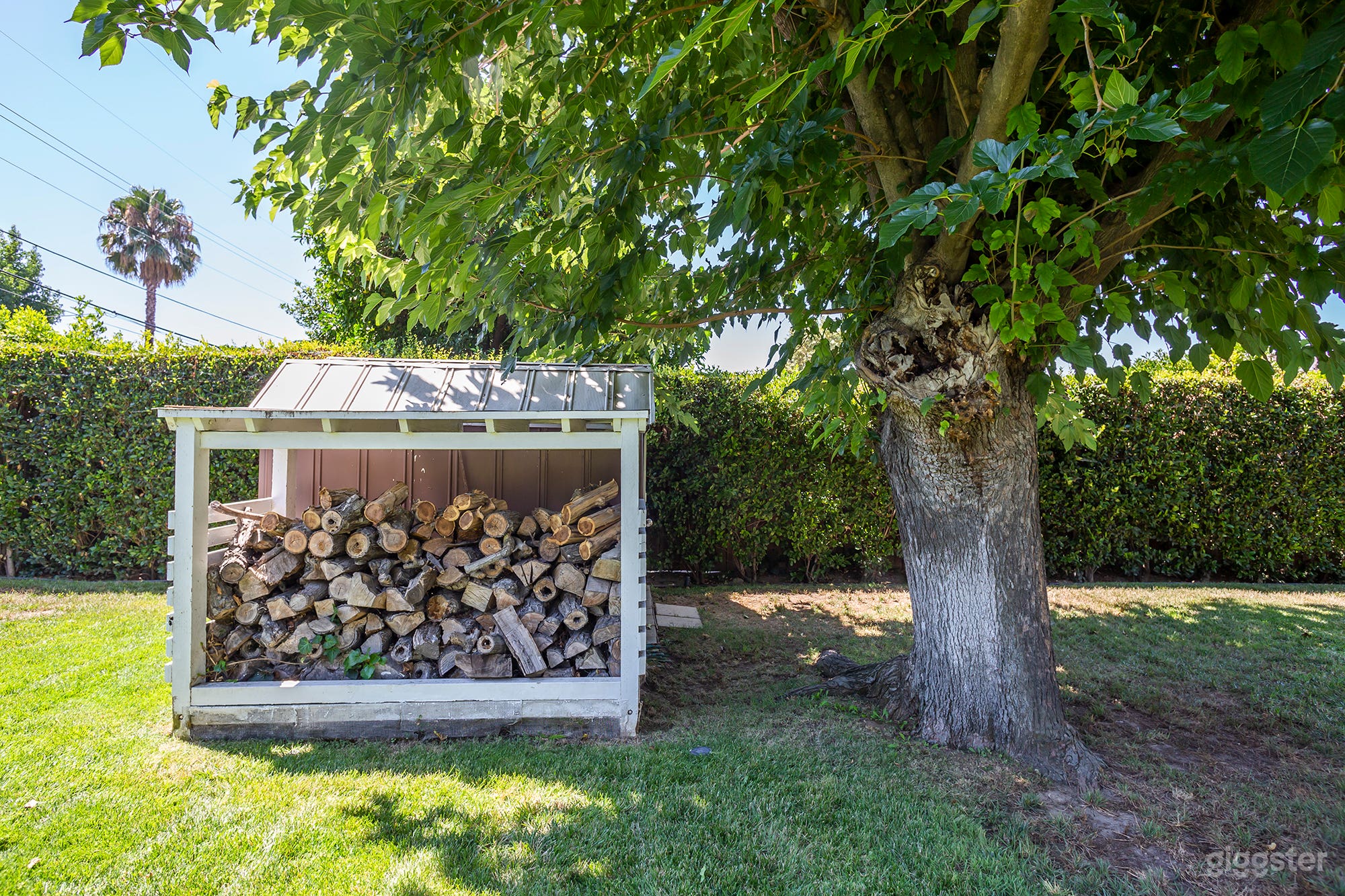 Ranch Americana Photo 4