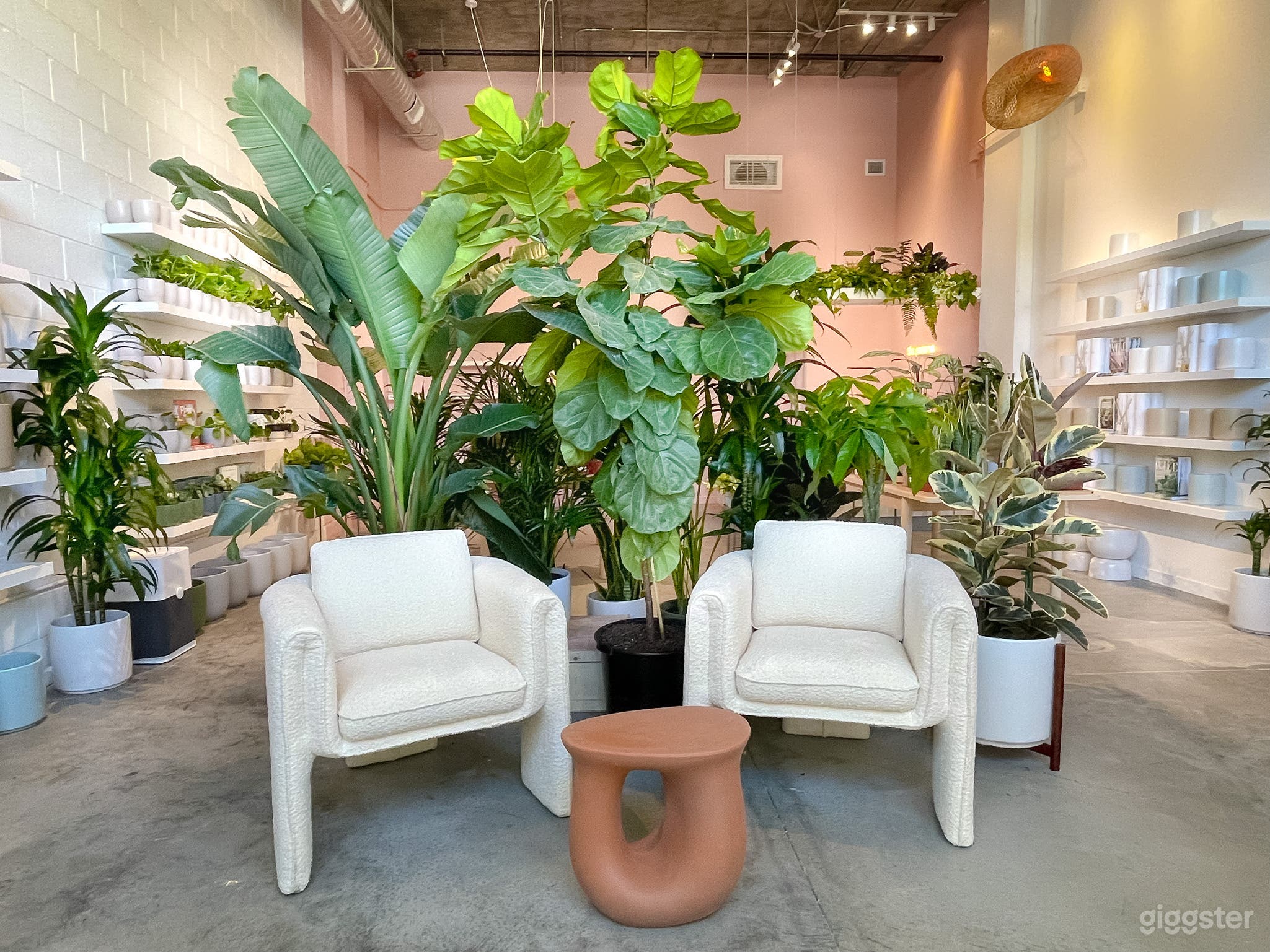 Modern, Stylish Plant Shop with High Ceilings Photo 3