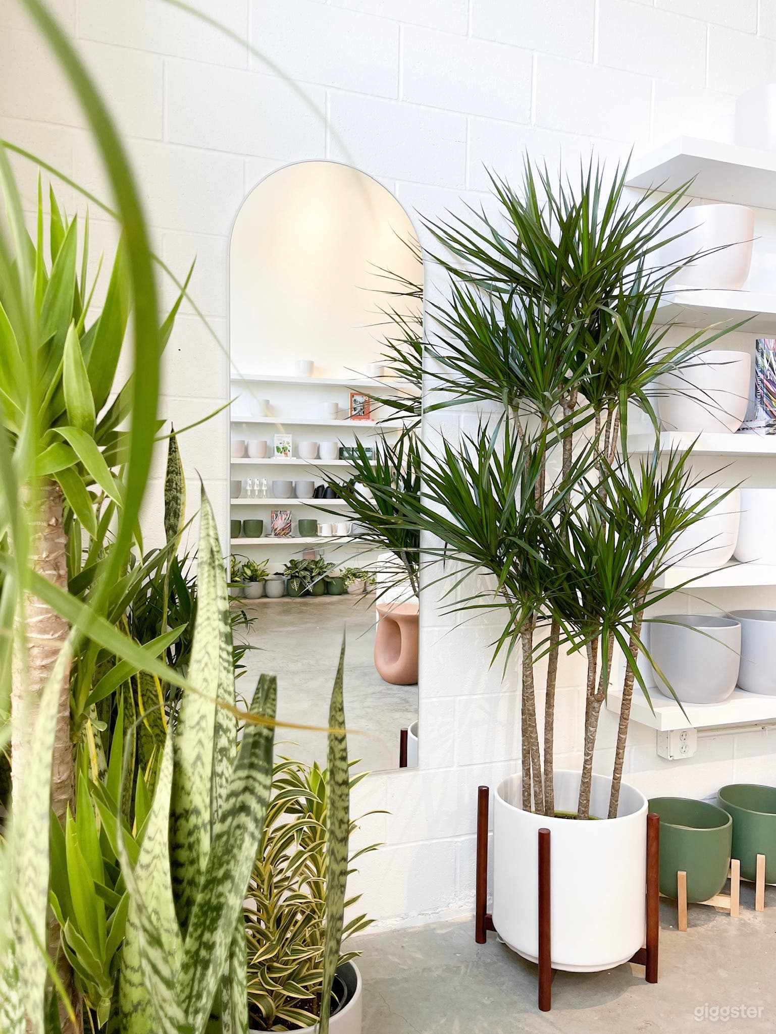 Modern, Stylish Plant Shop with High Ceilings Photo 4