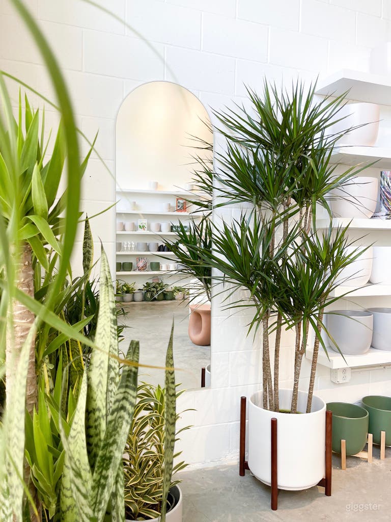  Modern, Stylish Plant Shop with High Ceilings 