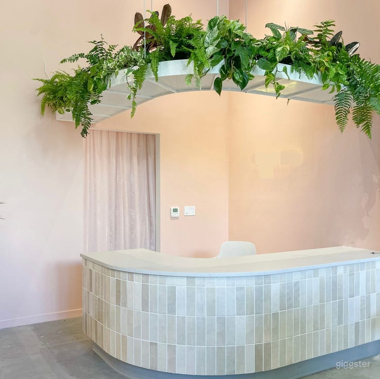  Modern, Stylish Plant Shop with High Ceilings 