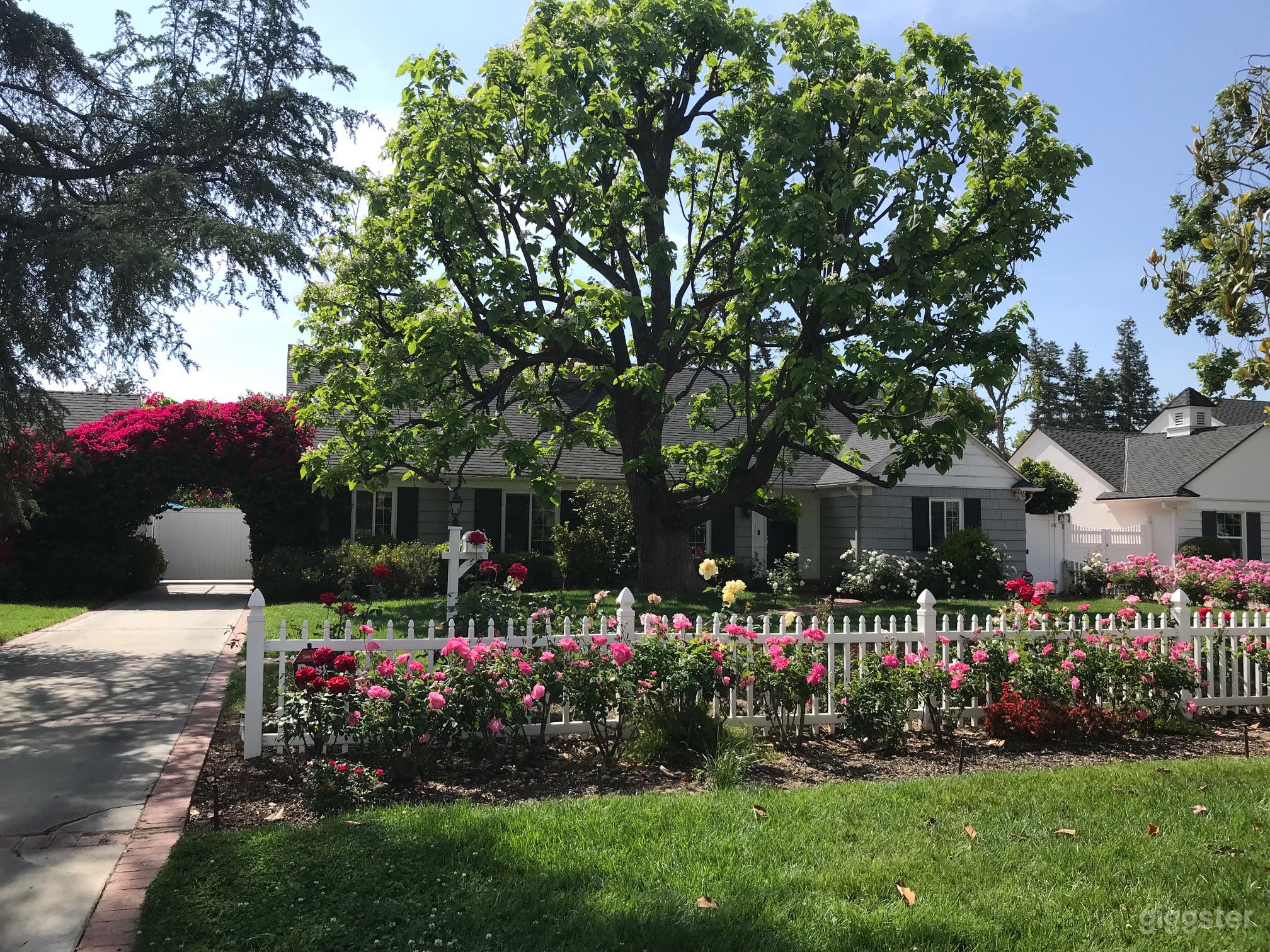 Stunning Resort Style Cape Cod Photo 1