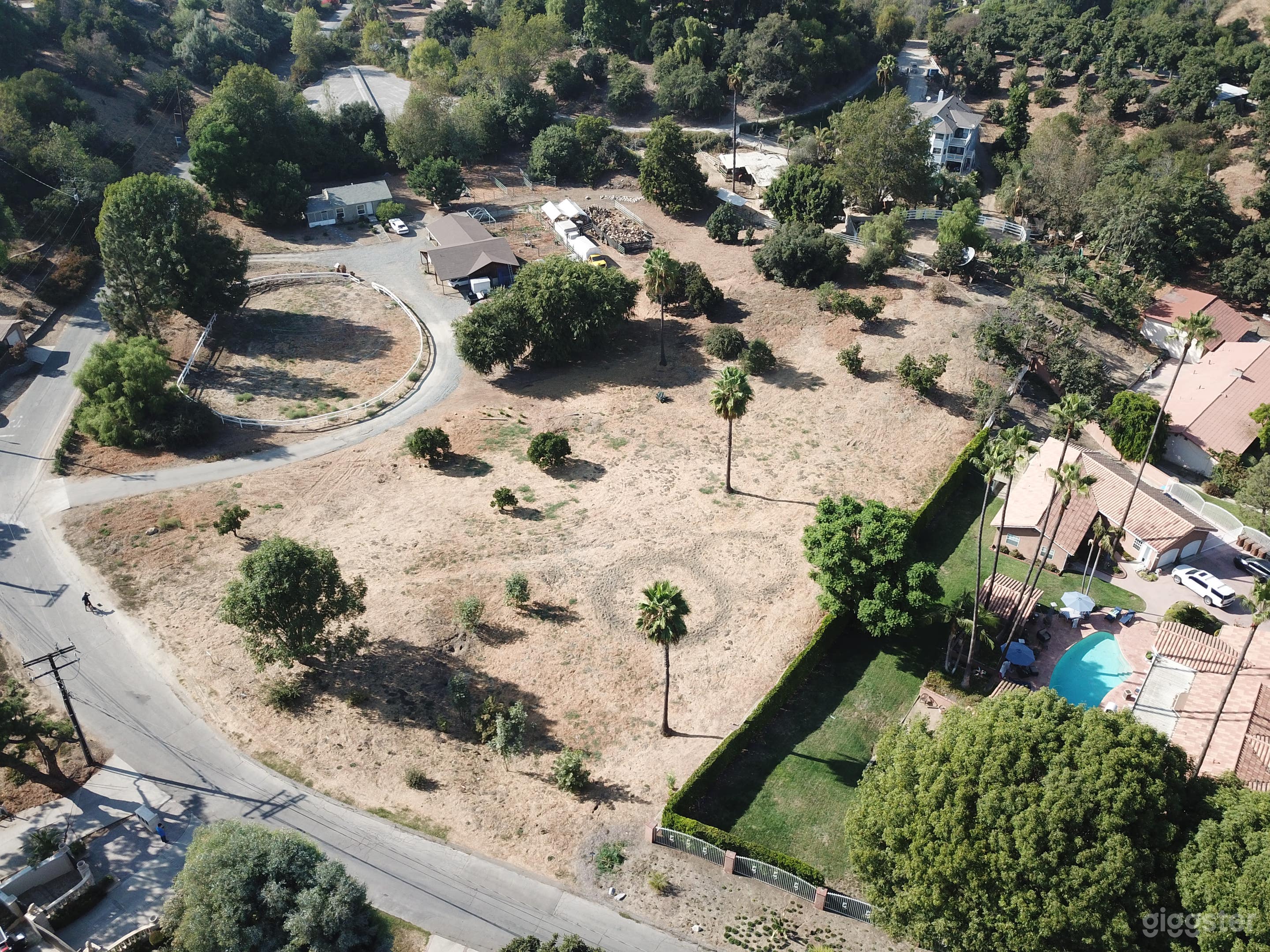 Huge 1 Acre Piece of Land with Shrubbery Photo 2