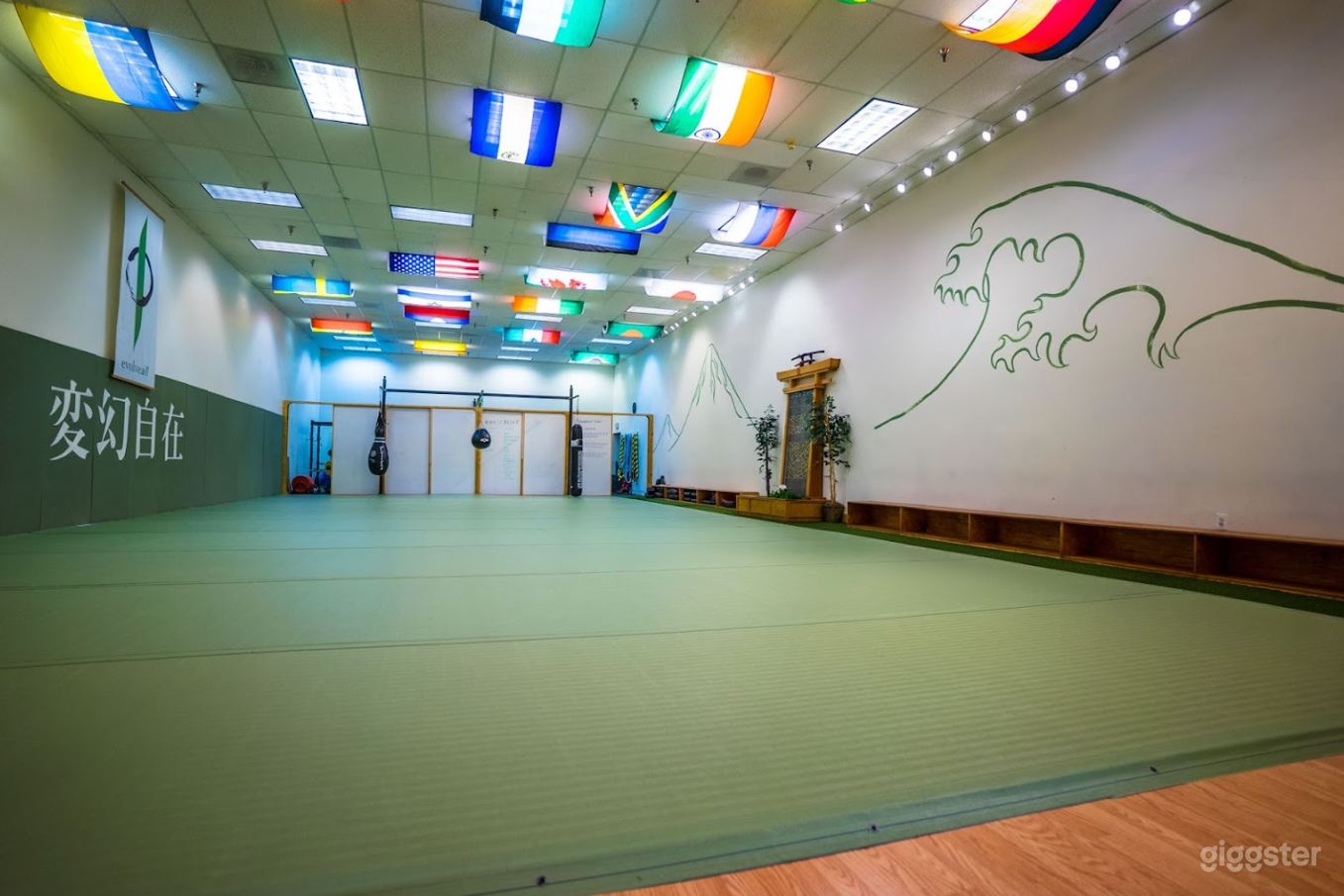Spacious Yoga studio in Arlington Photo 3