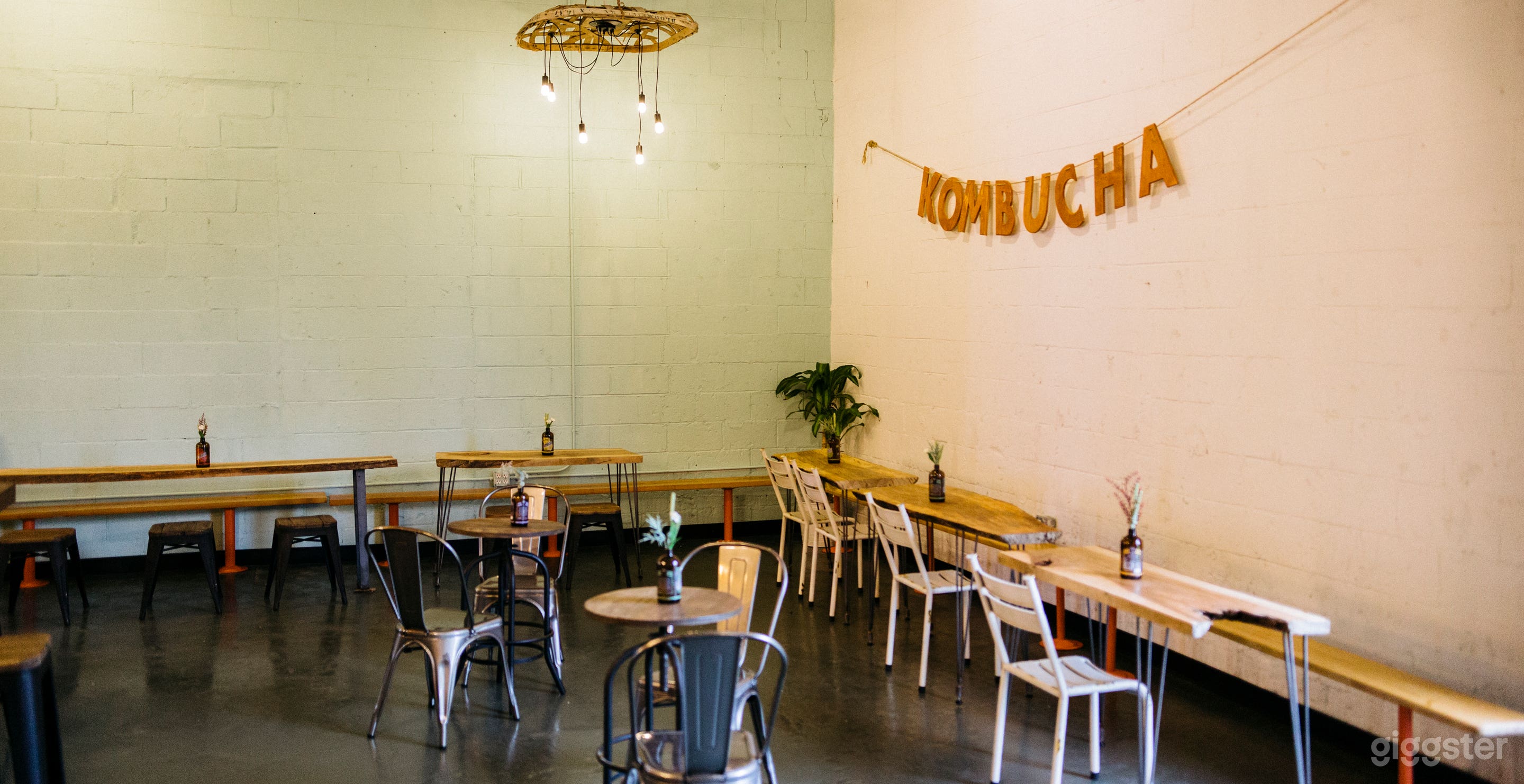 Golda Kombucha Photo 3