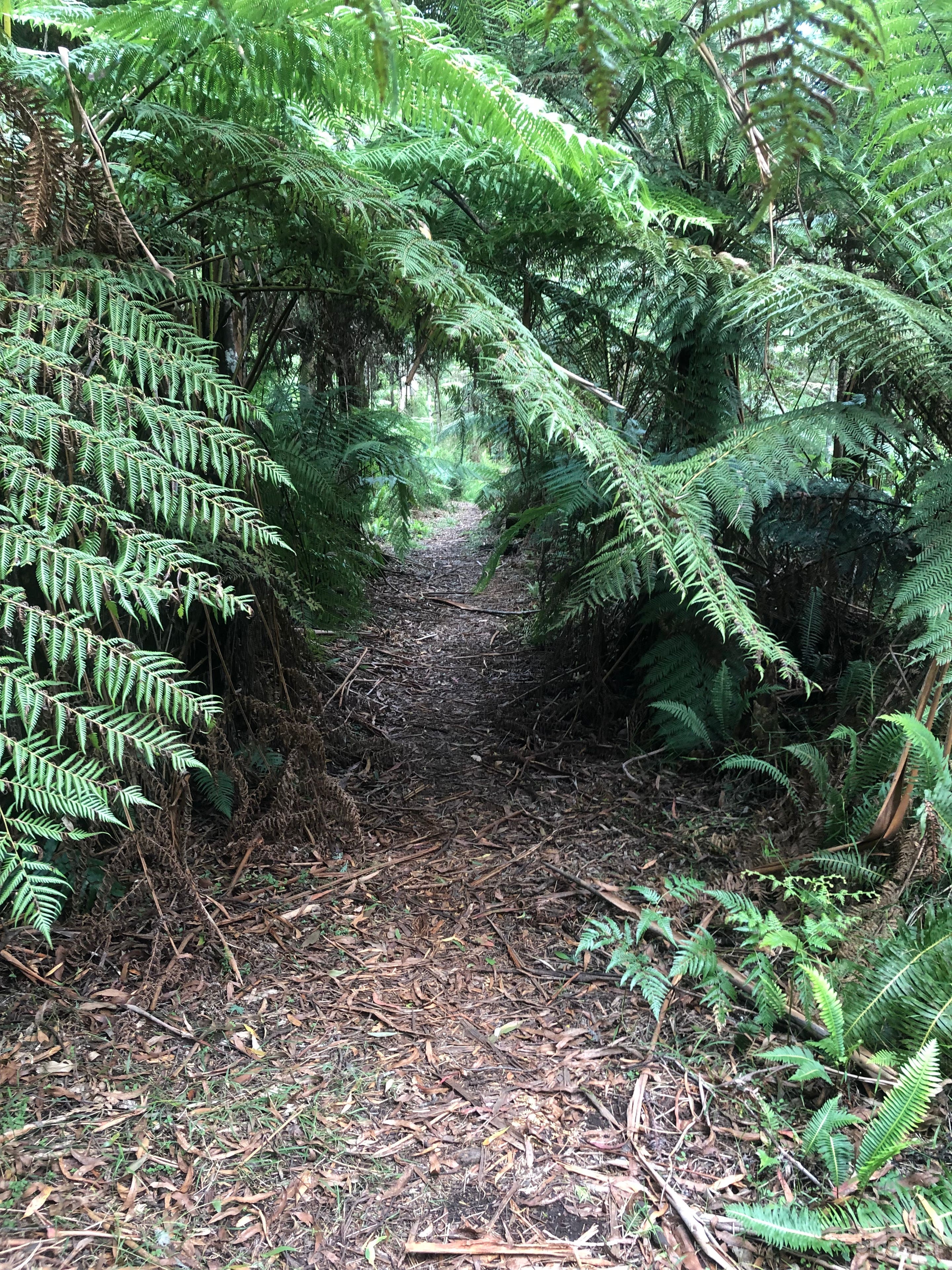 Photographic Studio Photo 4