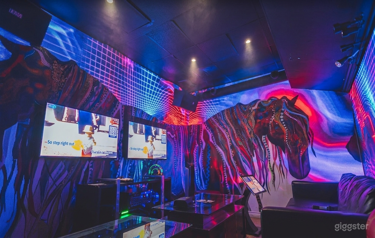 Neon Karaoke Lounge for 4 Guests Photo 3