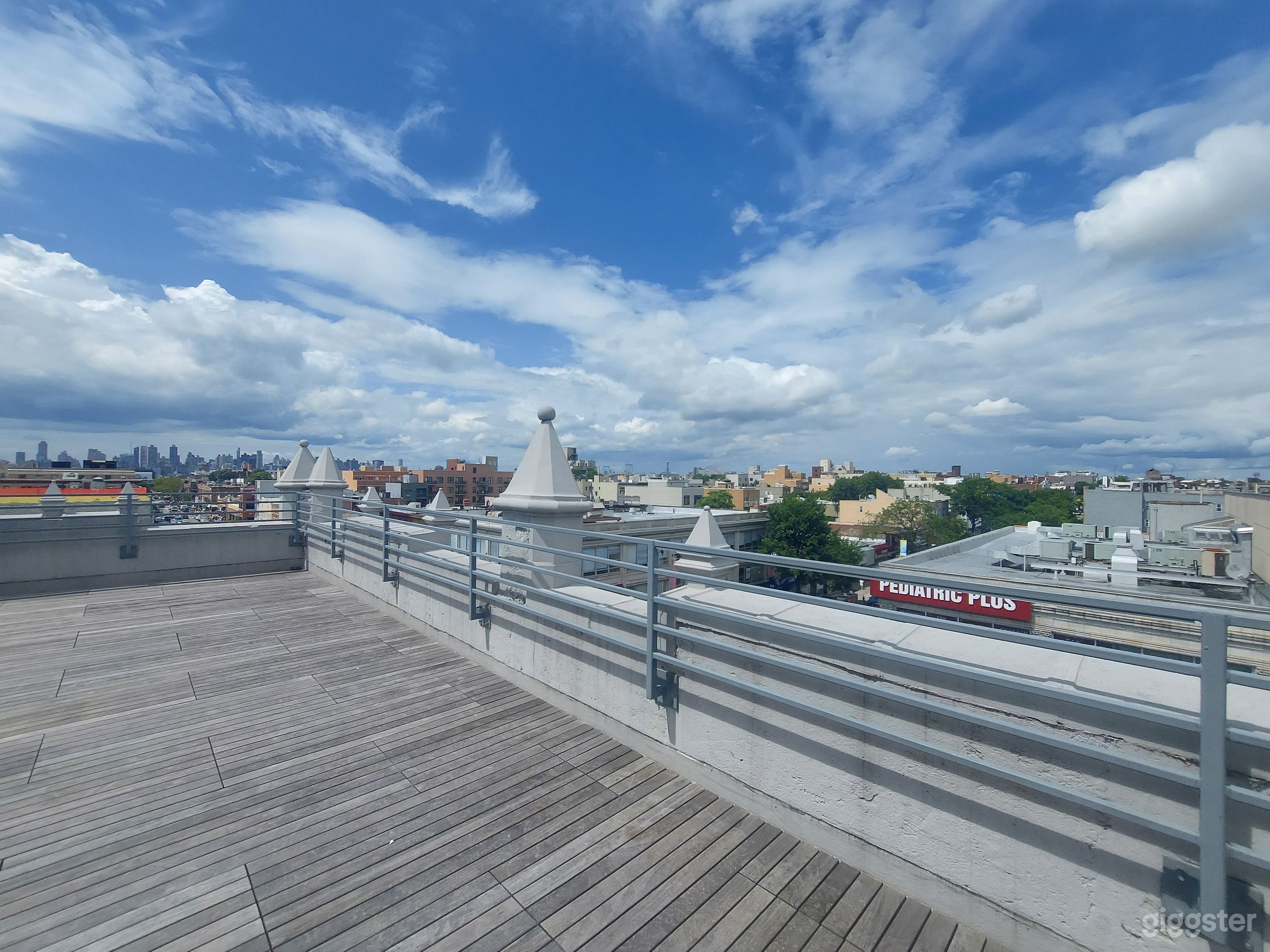 Amazing Rooftop with Skyline View  Photo 4