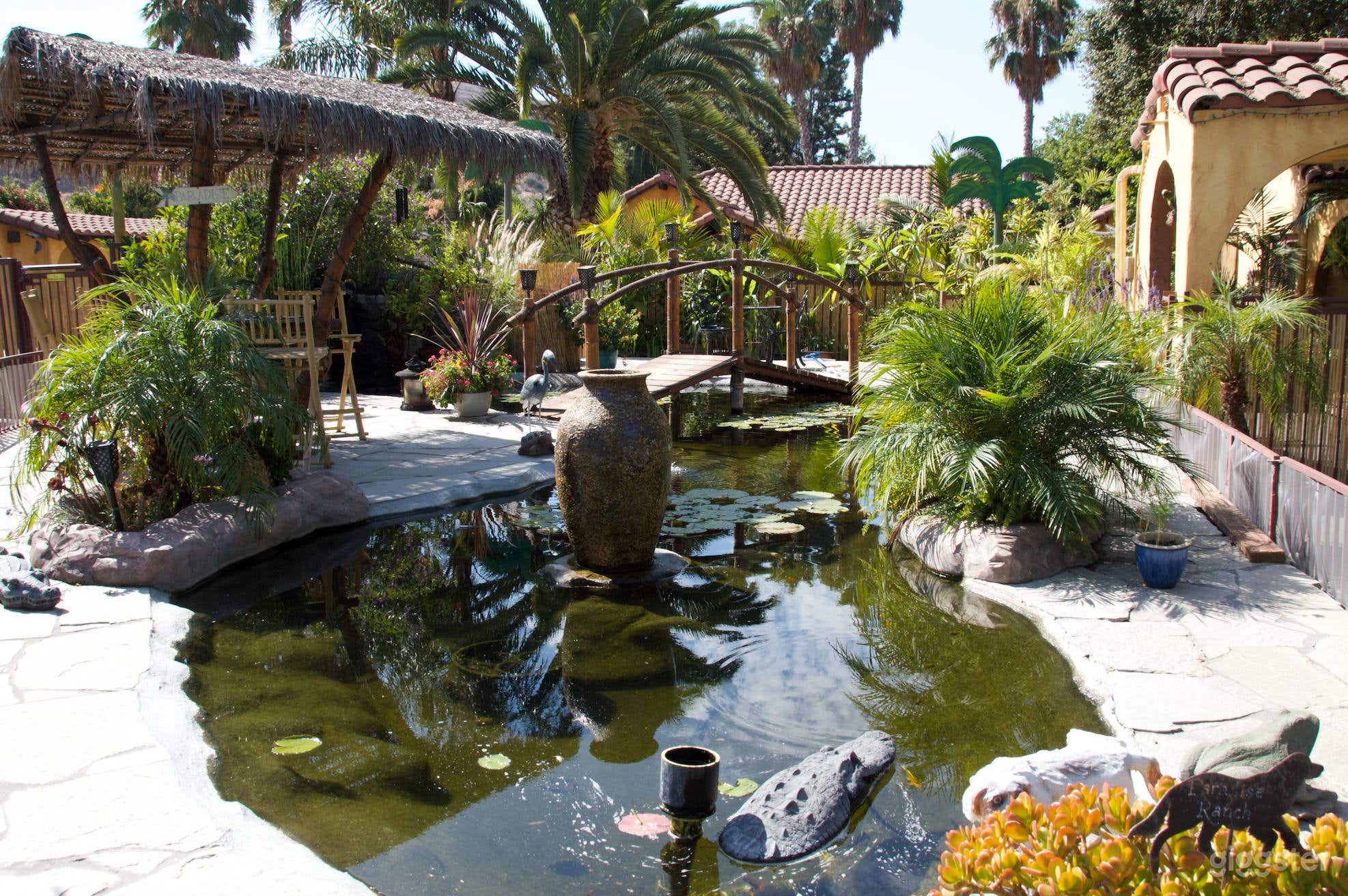 Pet Ranch with several pools and Spanish style Photo 1