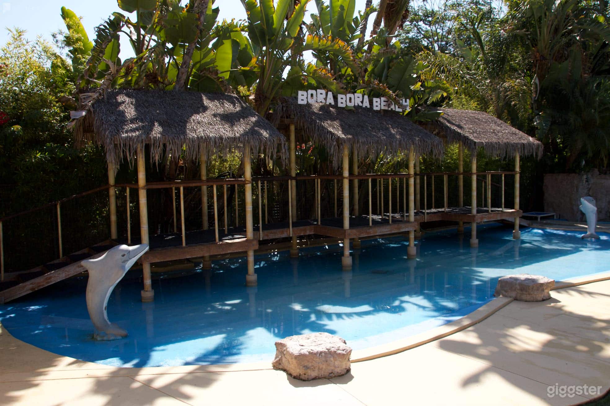 Pet Ranch with several pools and Spanish style Photo 4