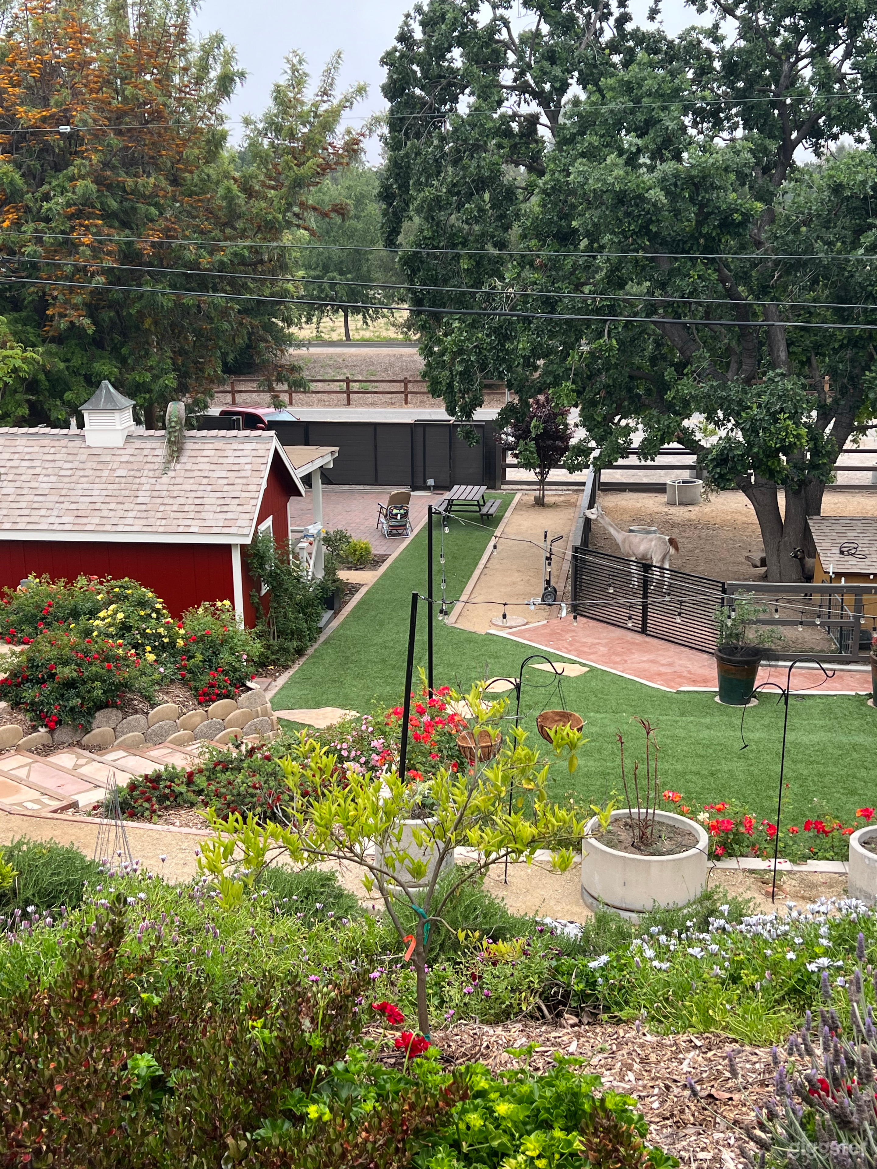 Private Charming Ranch Photo 1