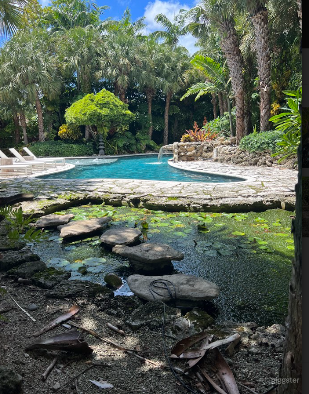 Backyard Tropical Paradise  Photo 1