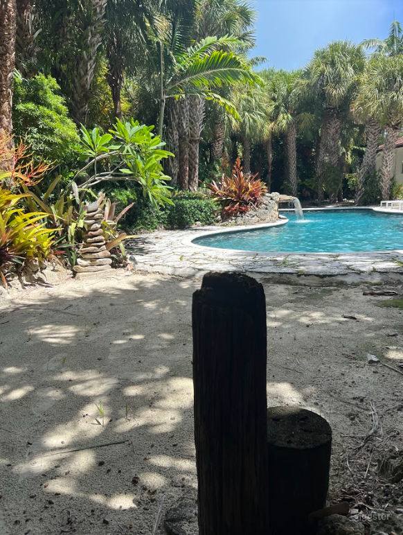 Backyard Tropical Paradise  Photo 3