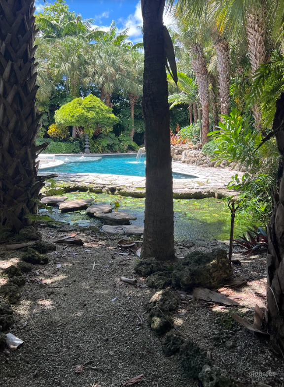 Backyard Tropical Paradise  Photo 4