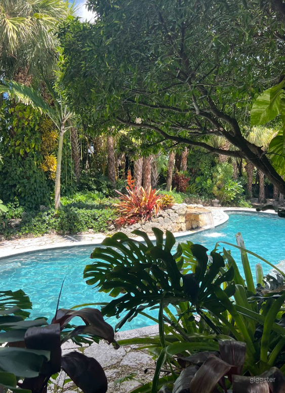 Backyard Tropical Paradise  Photo 2