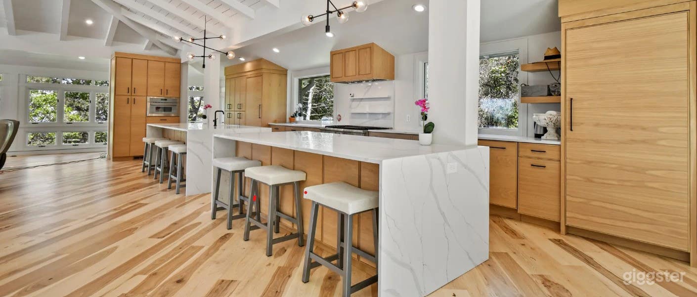 Gorgeous Modern Home for Films Photo 4