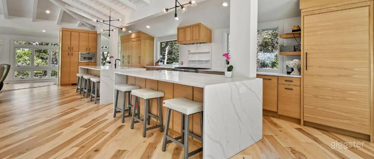  Gorgeous Modern Home for Films 