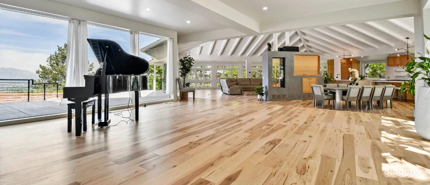 Gorgeous Modern Home for Films Photo 3