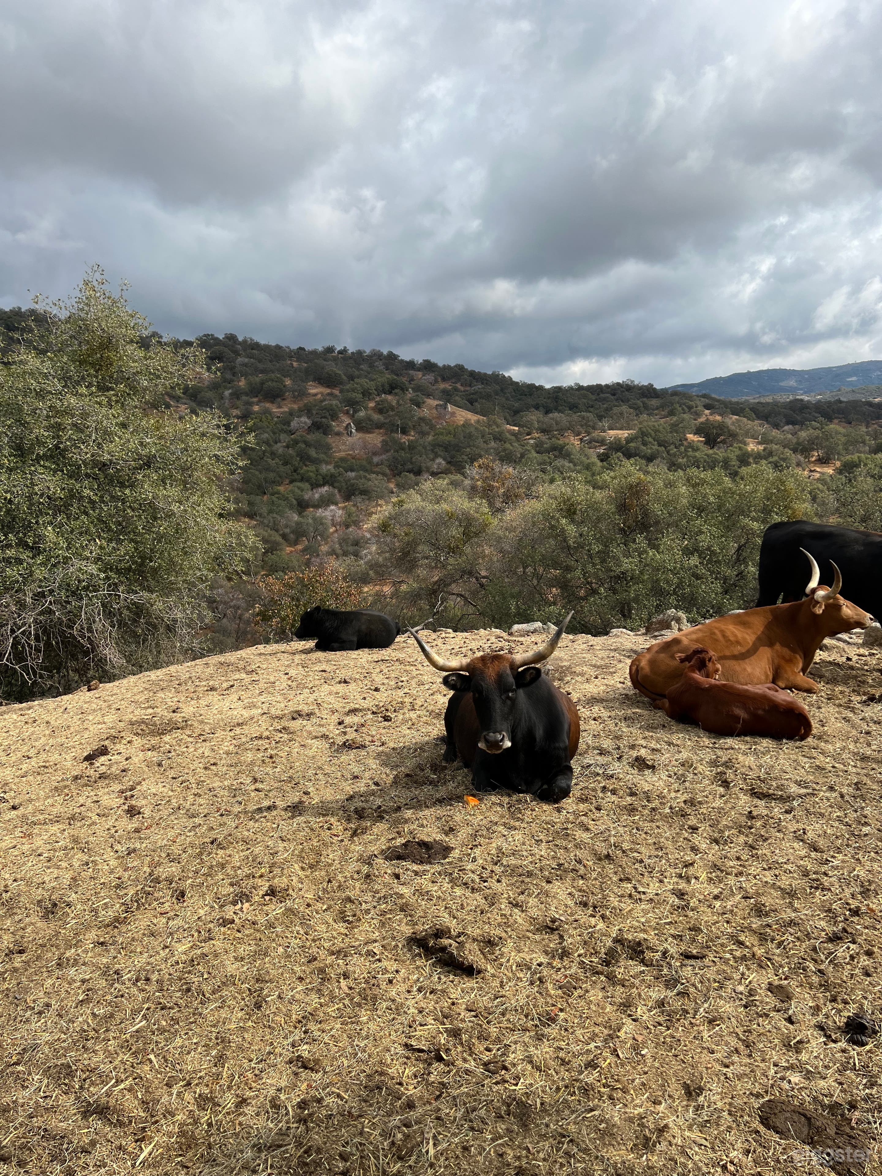 Picturesque and Scenic Ranch Photo 3