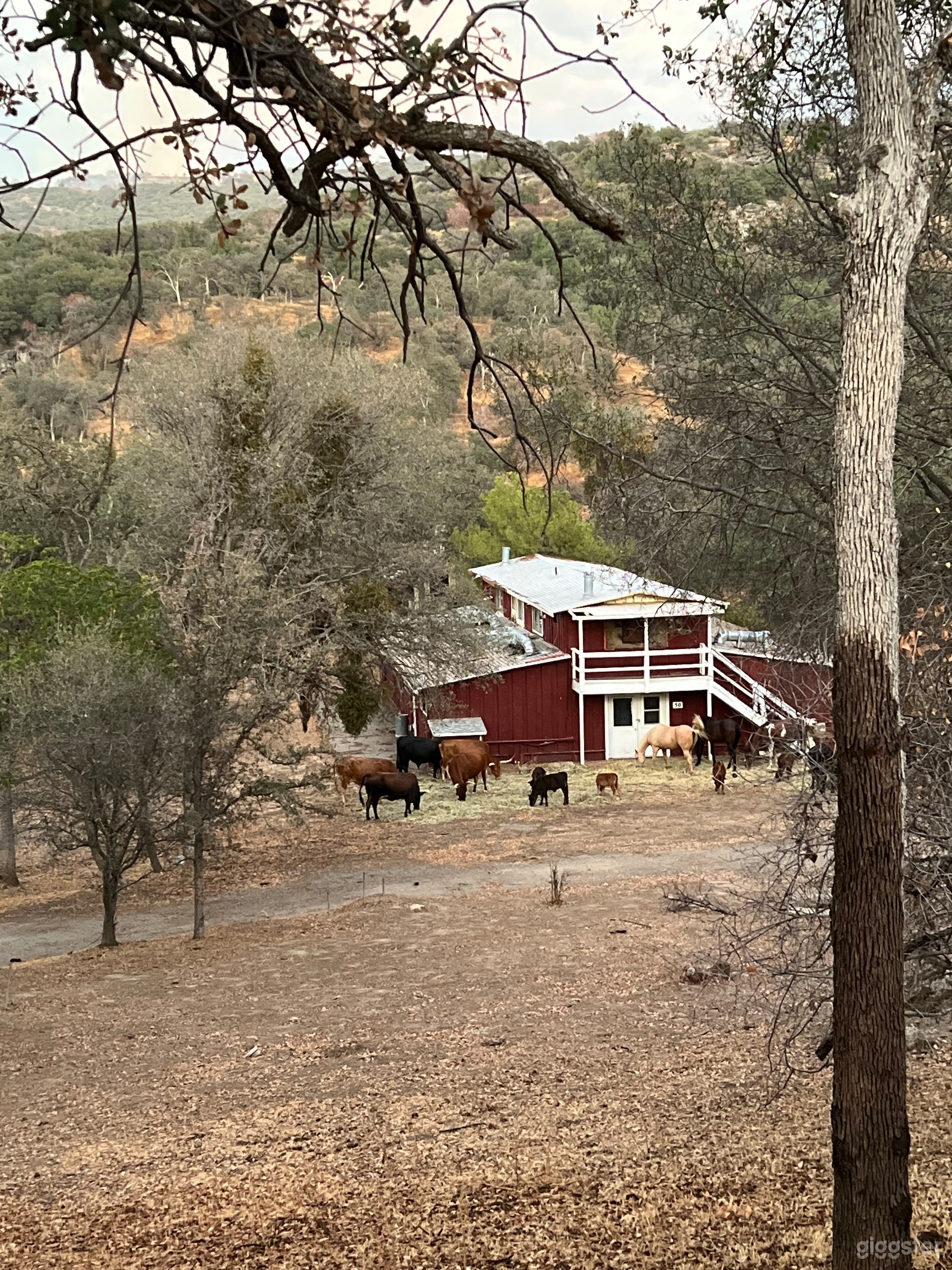 Old barn from 1930’s.