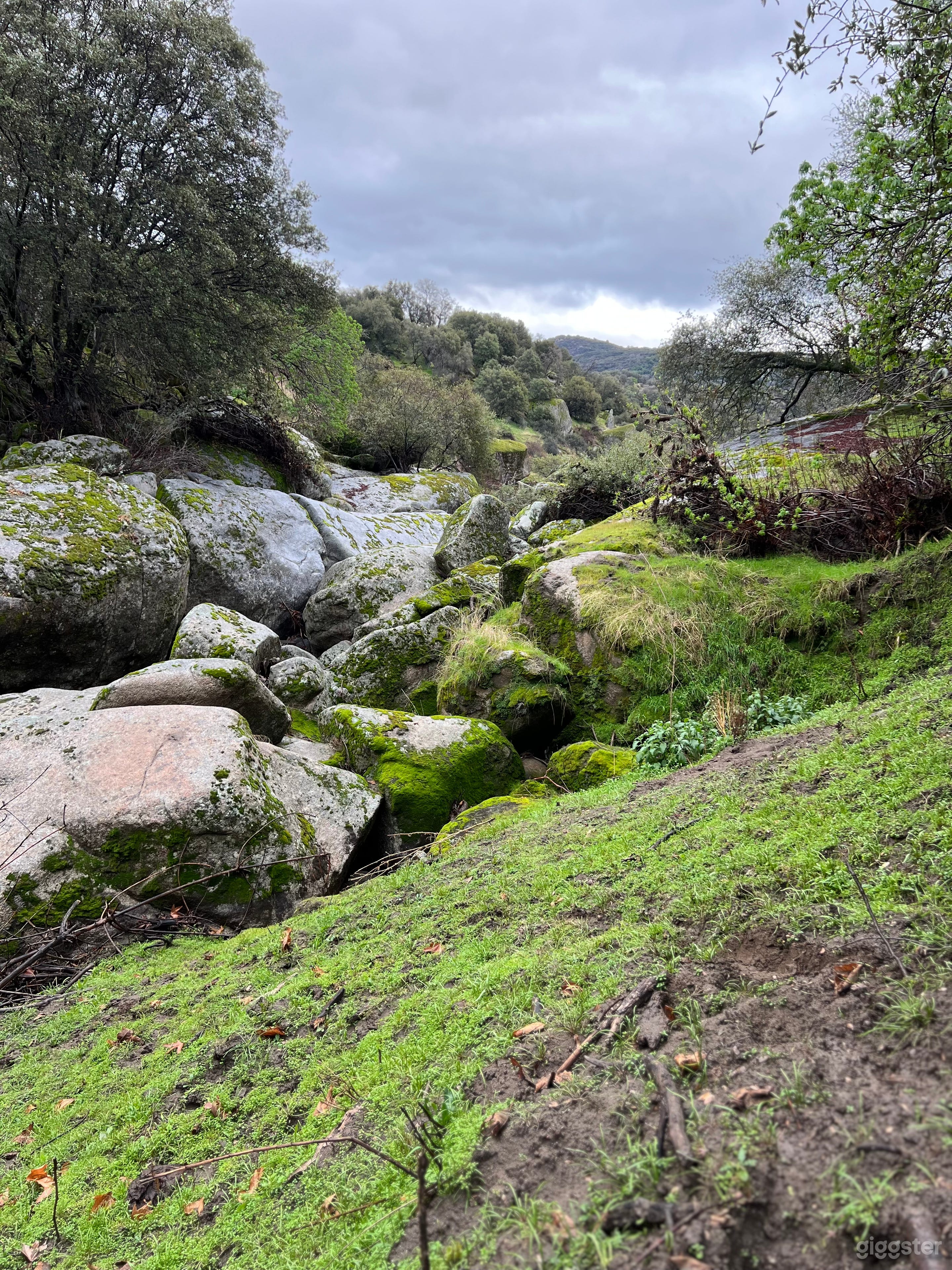 Picturesque and Scenic Ranch Photo 1