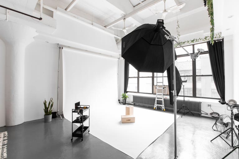  Daylight Loft Studio with 20 Foot Ceilings 