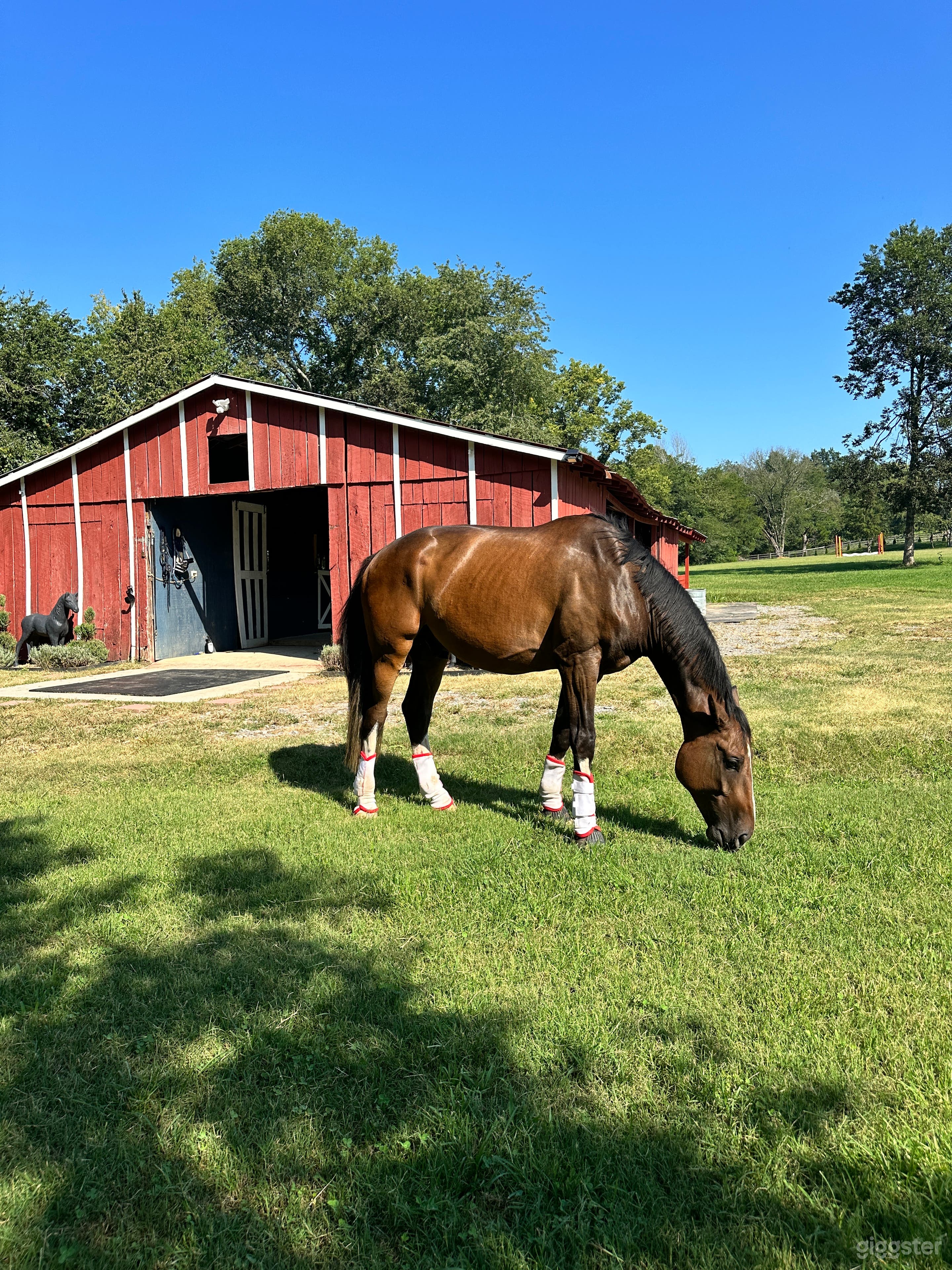 Nashville’s best horse farm, pool and party barn Photo 1