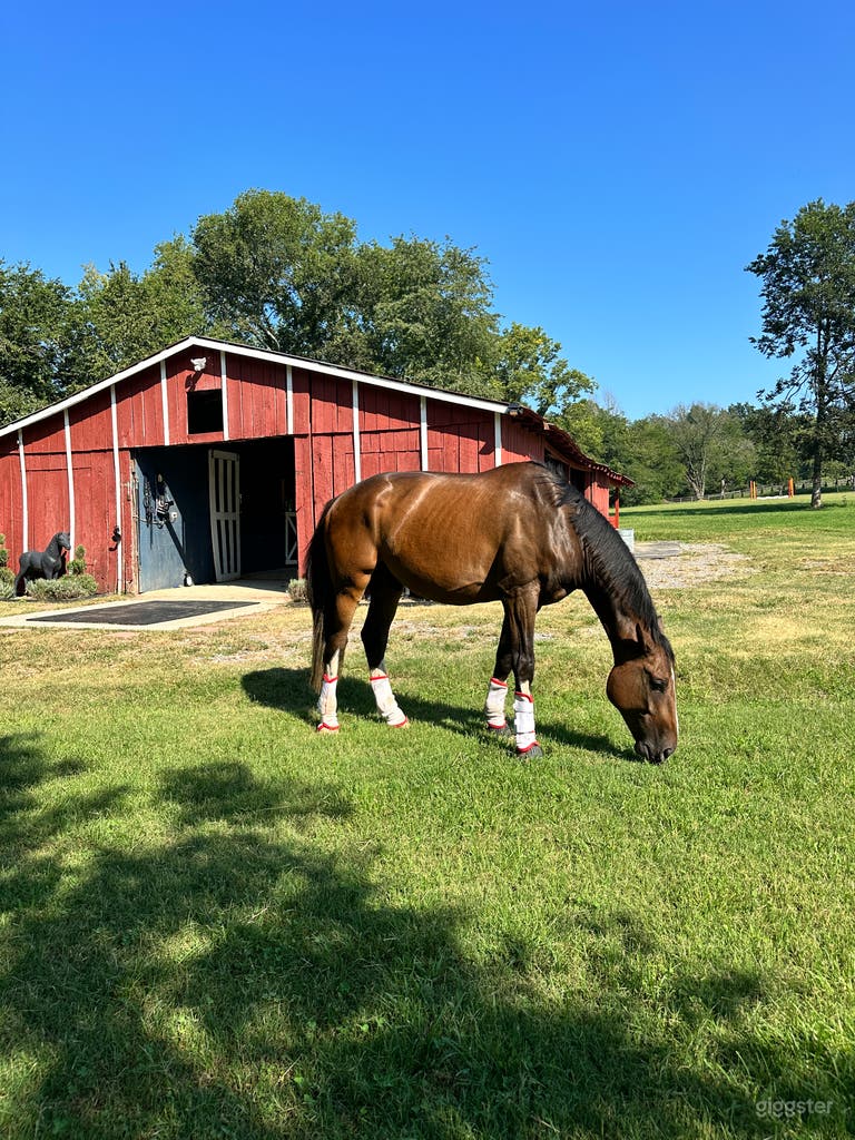  La mejor finca de caballos de Nashville, piscina y granero para fiestas 