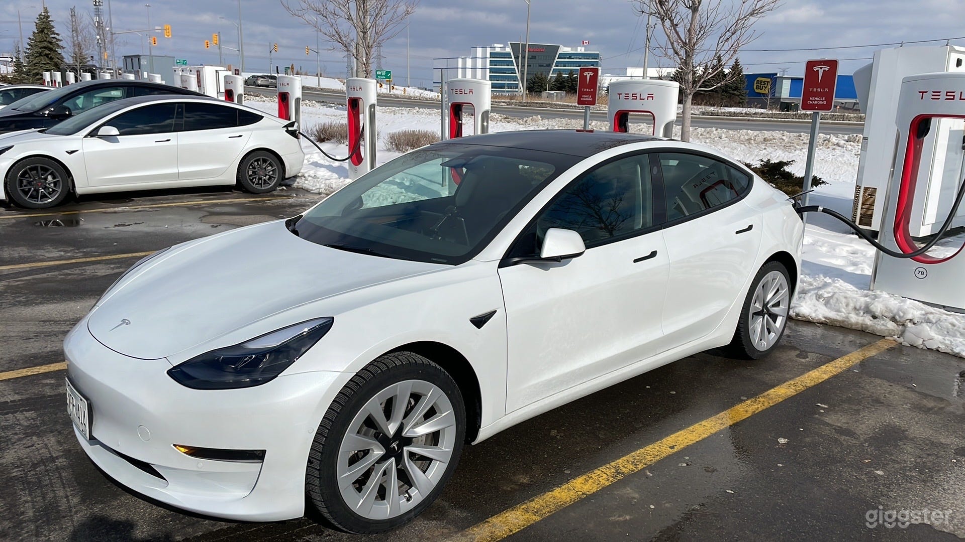 Tesla Model 3 Transport Vehicle 👍 Photo 1