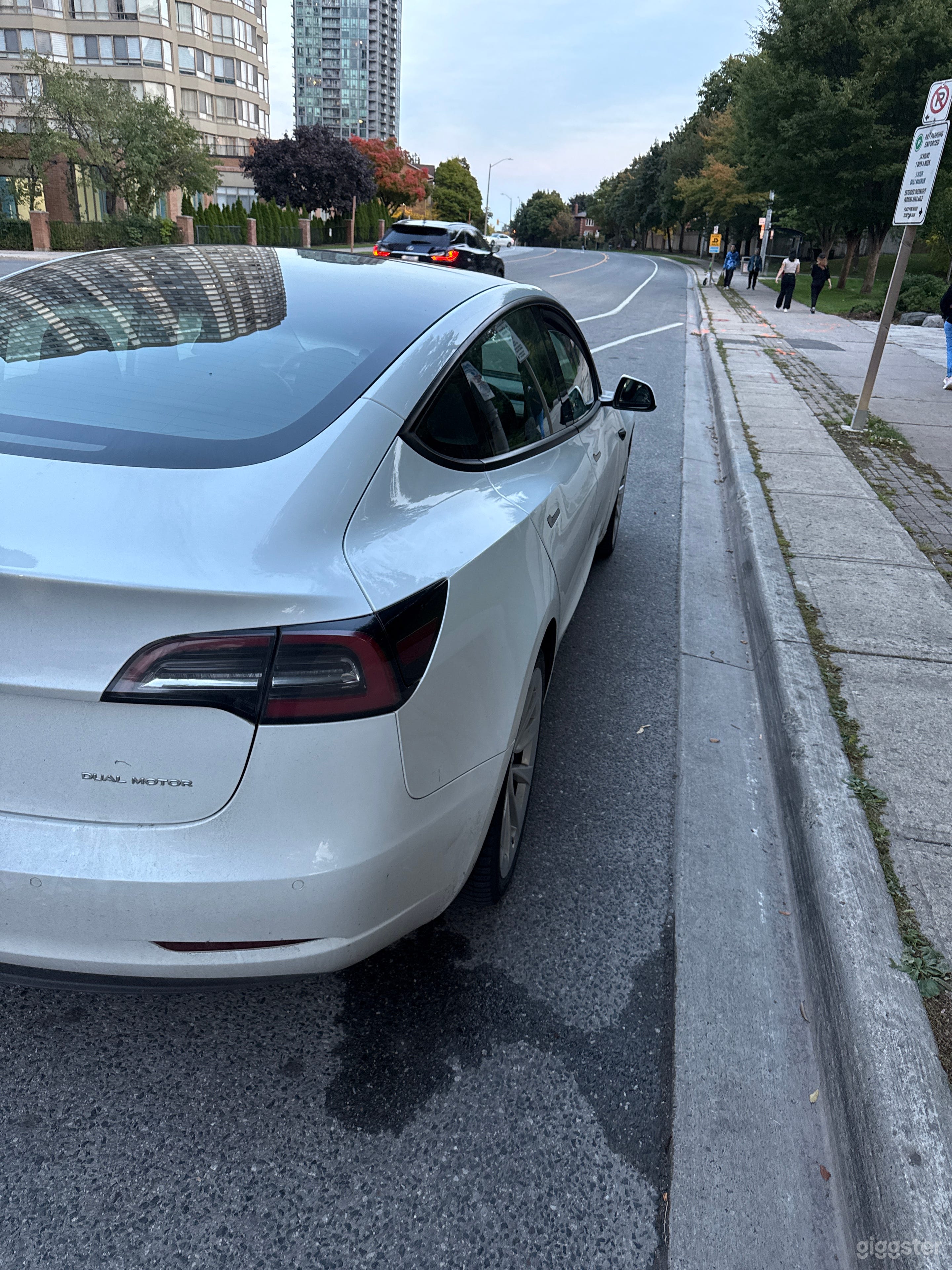 Tesla Model 3 Transport Vehicle 👍 Photo 3