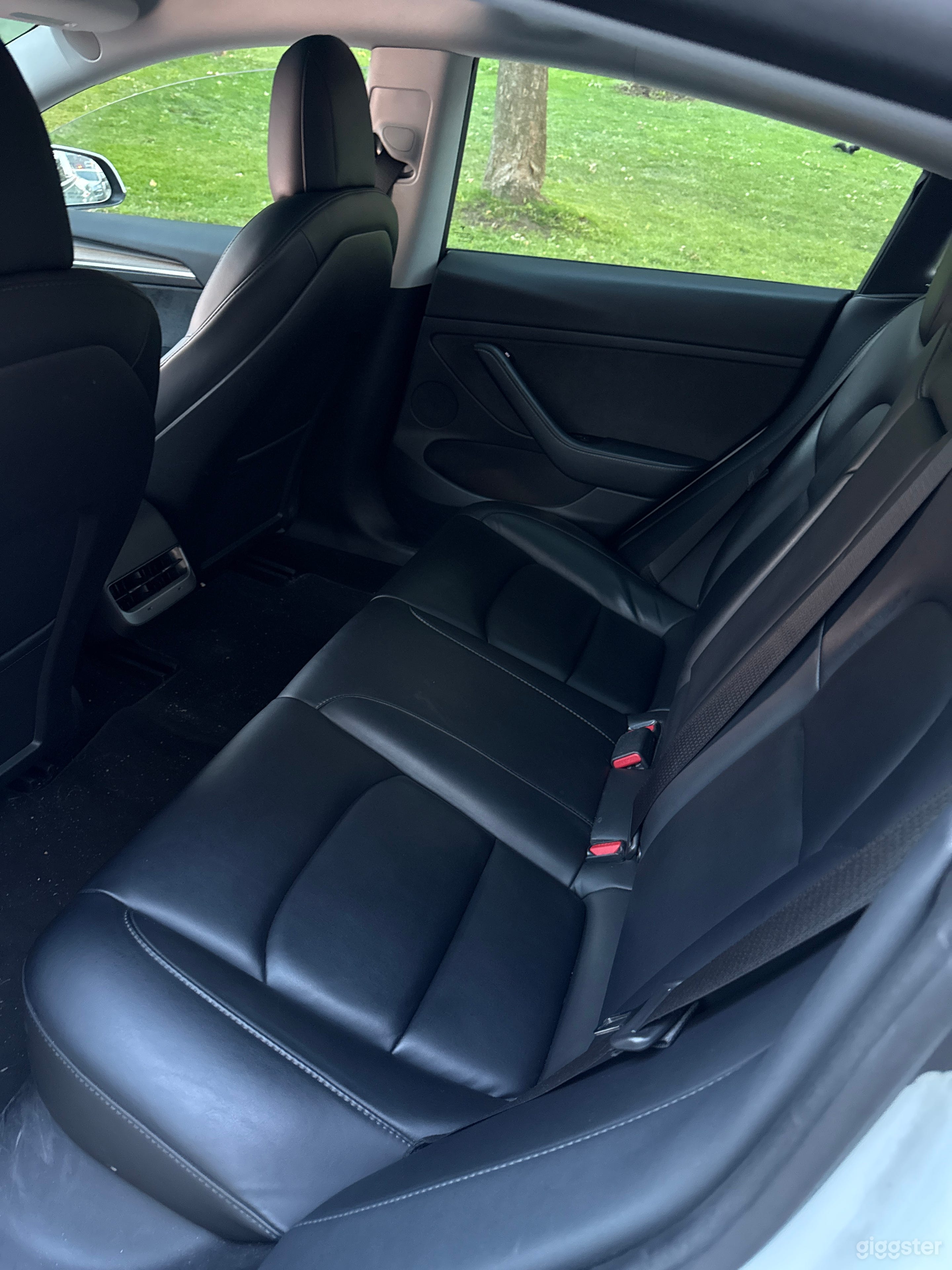 Tesla Model 3 Transport Vehicle 👍 Photo 4