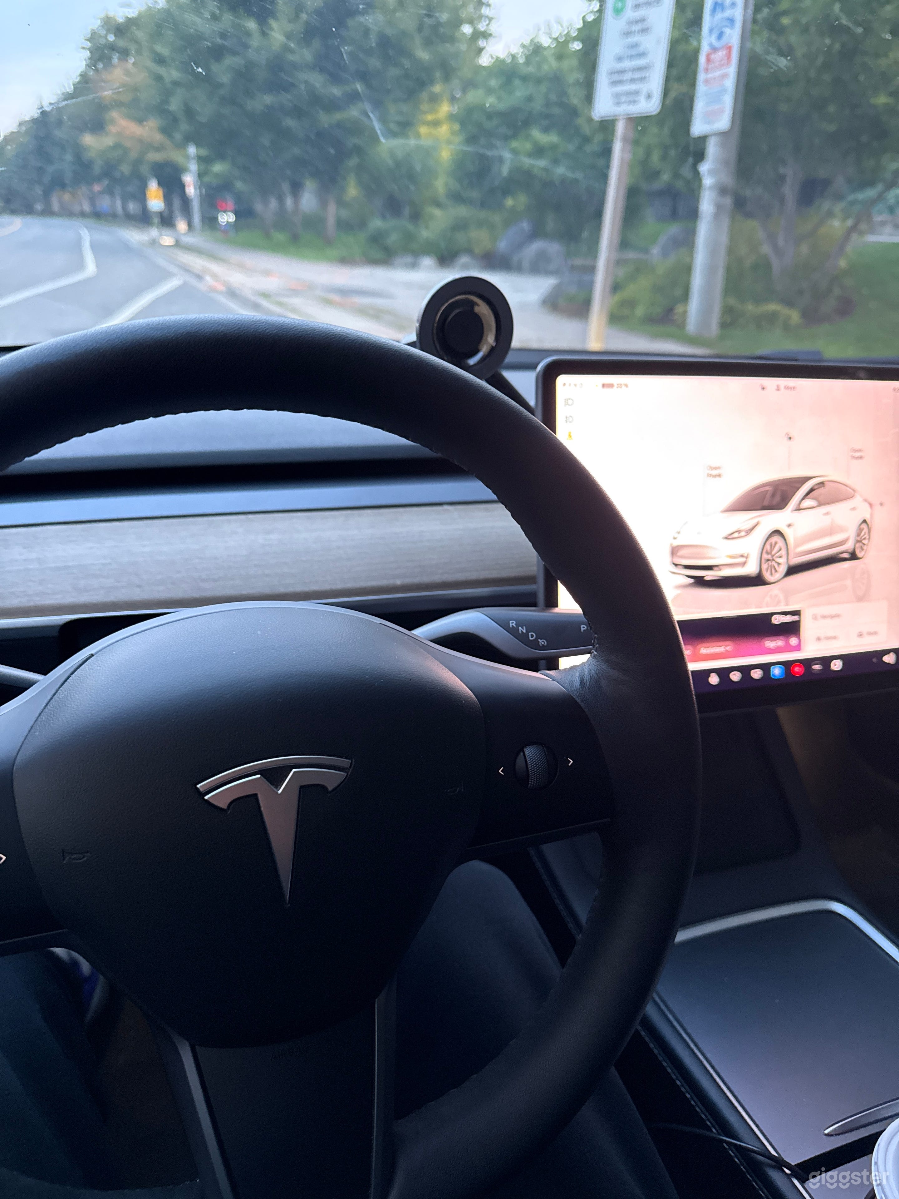 Tesla Model 3 Transport Vehicle 👍 Photo 2