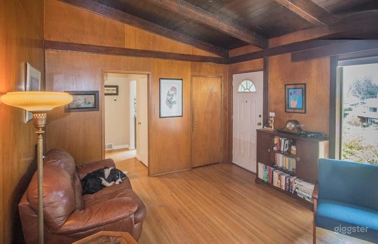  Mid-century Modern House with Modern Kitchen 