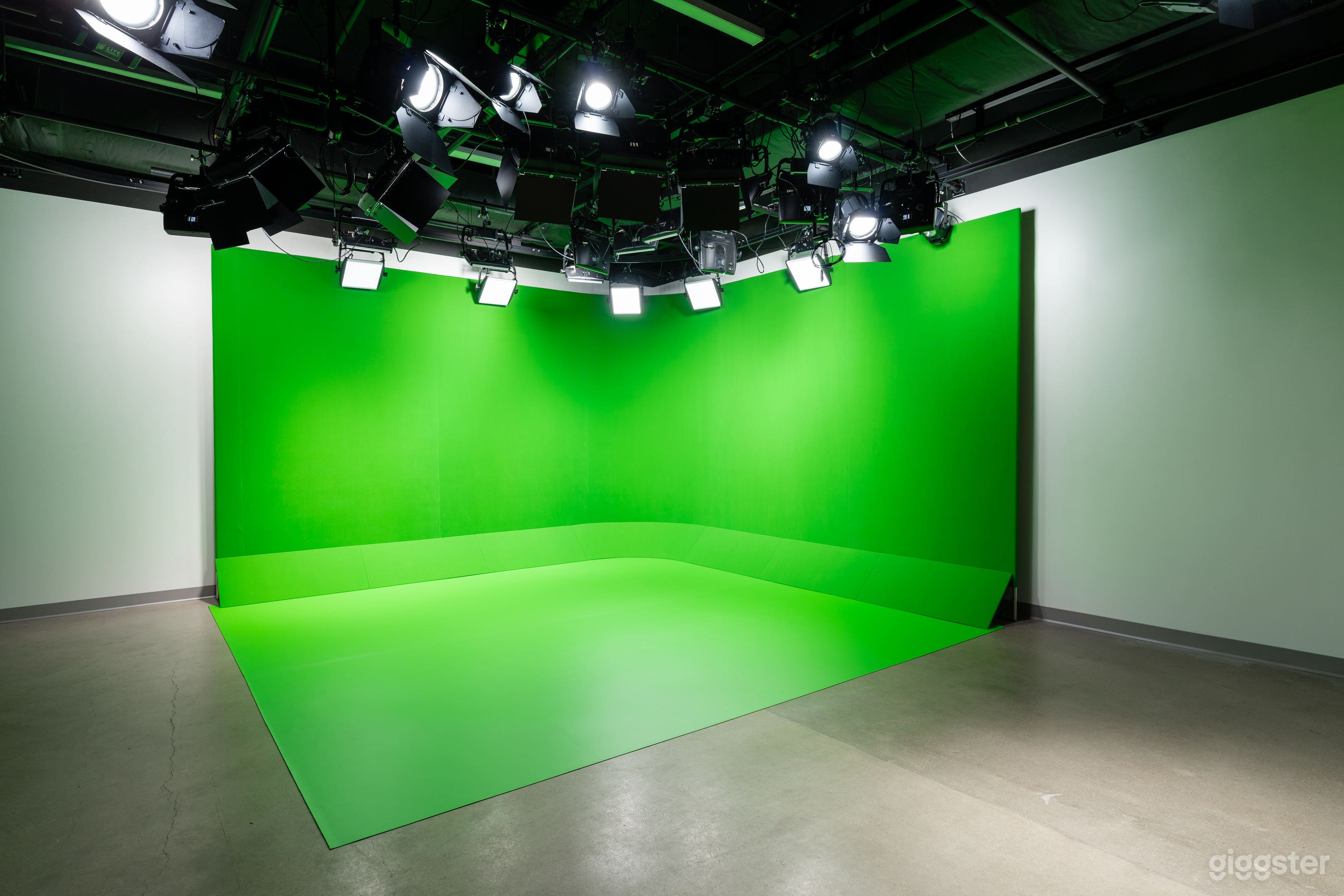Production Studio w Soundproofing and Light Grid Photo 3
