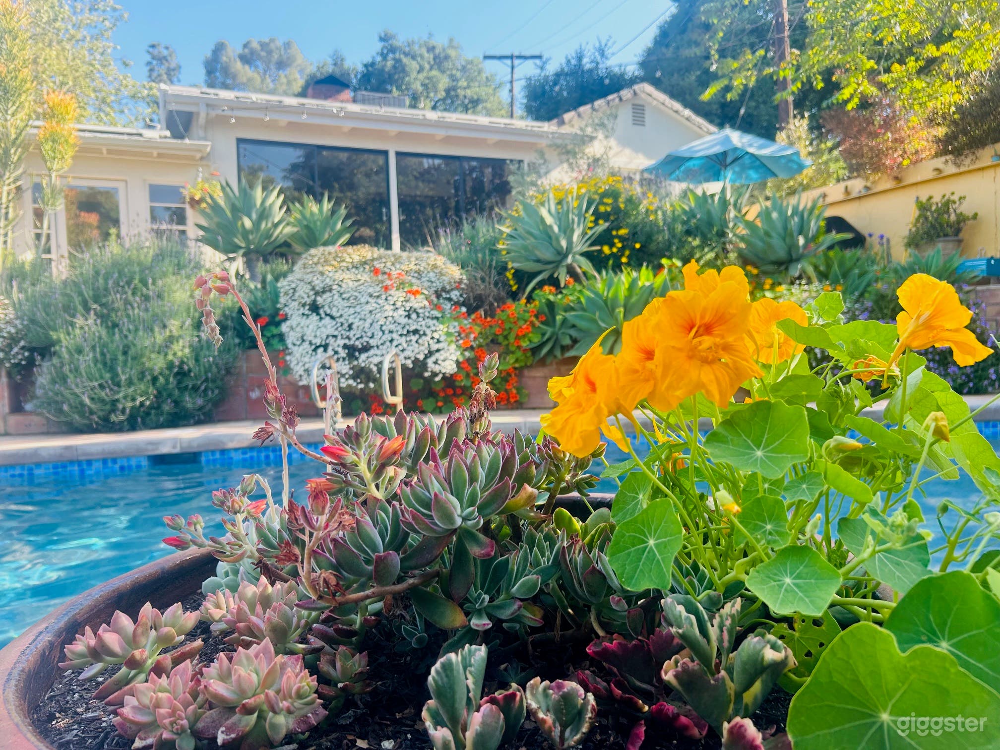 Californian Style Pool Oasis Photo 4