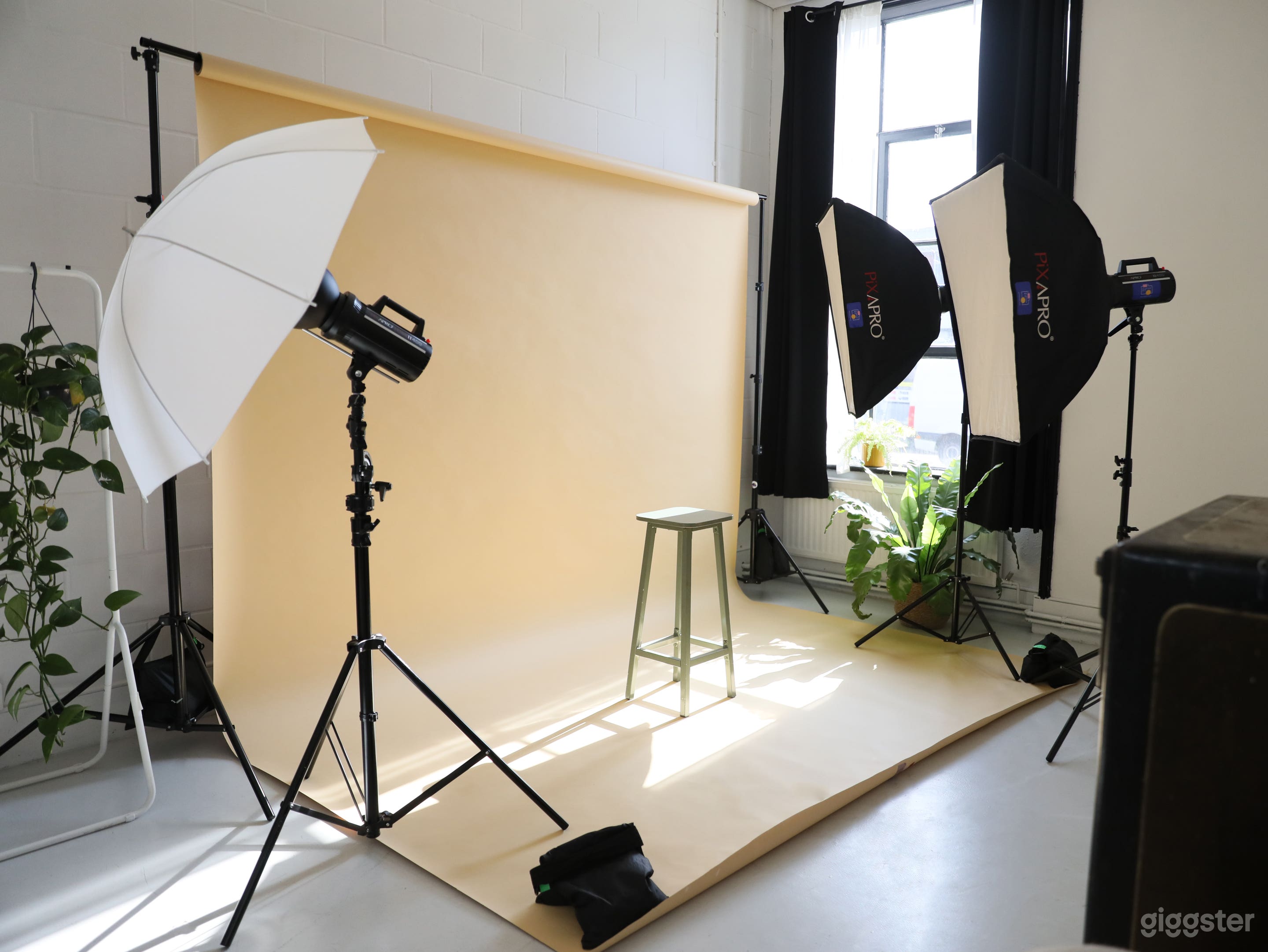 Versatile Studio with Natural Light Photo 1