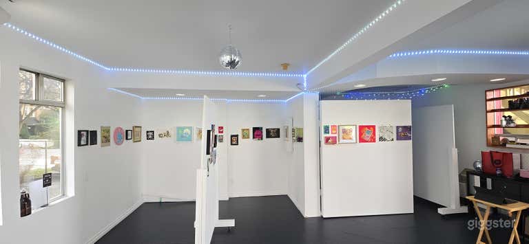  Vibrant & Eclectic Artist Gallery 