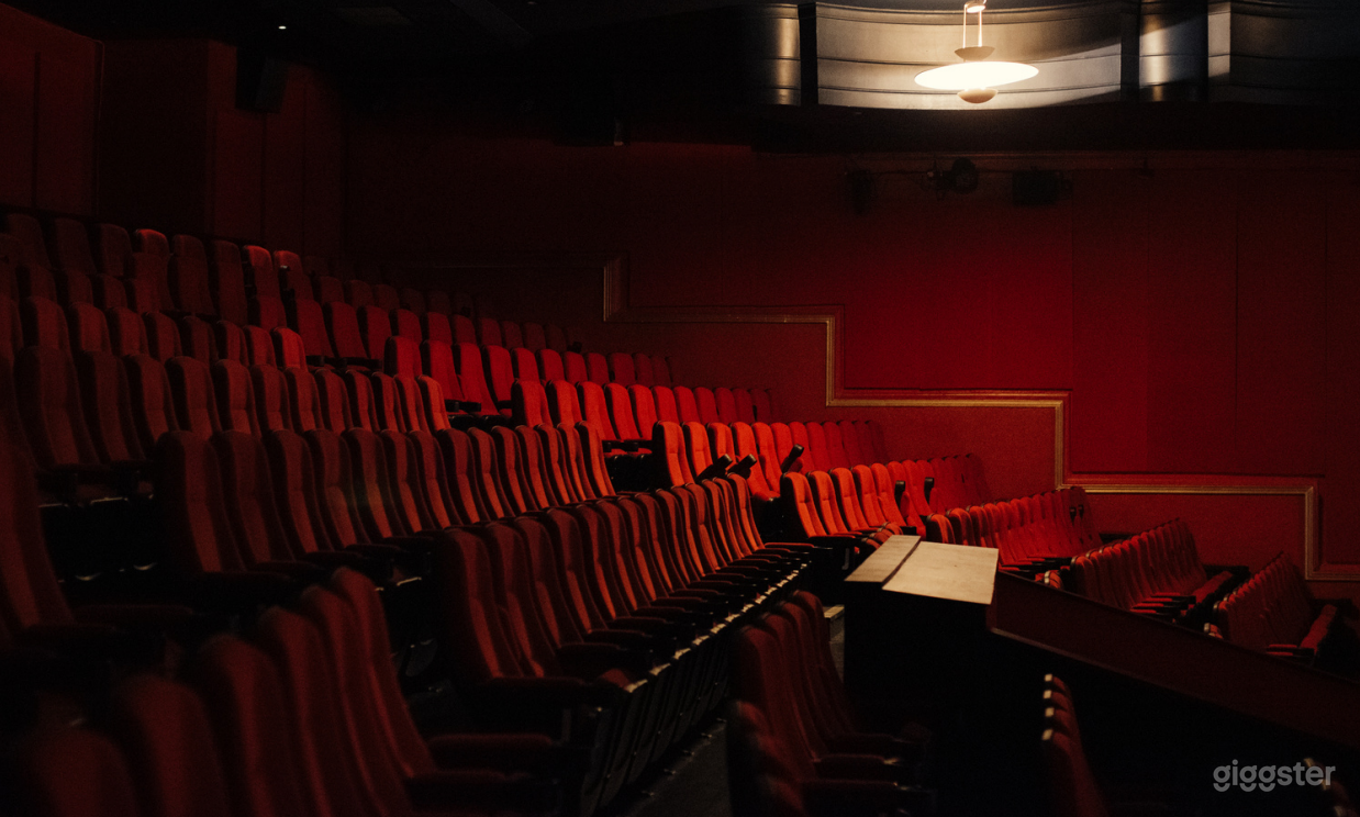 Screen 1 Cinema with 566 Seats Photo 3