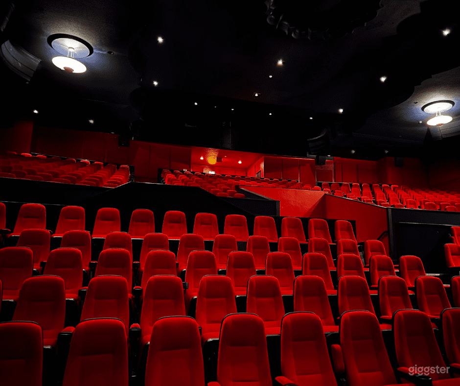 Screen 1 Cinema with 566 Seats Photo 4