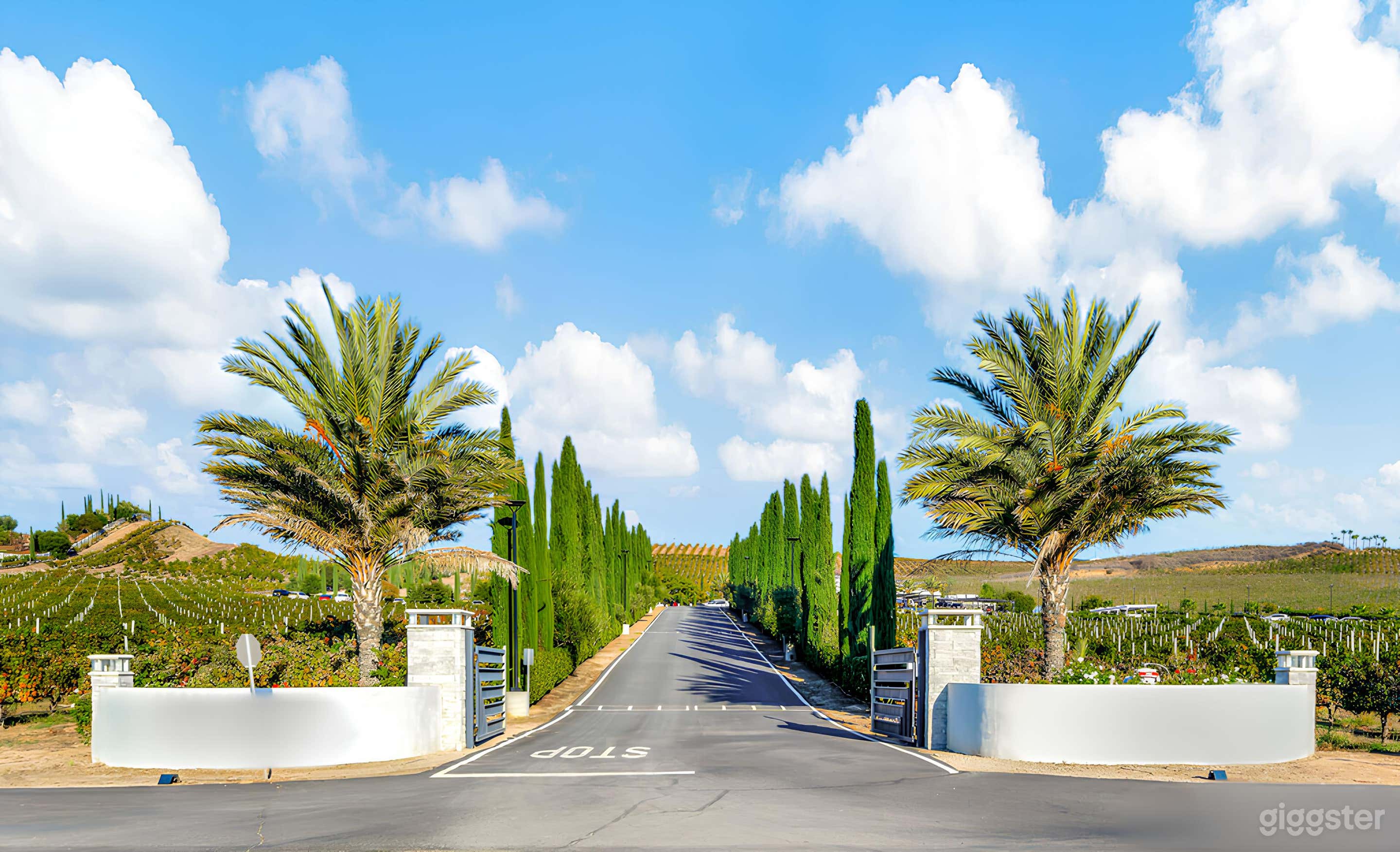 Luxury Five-Acre Estate in Temecula Wine Country Photo 2
