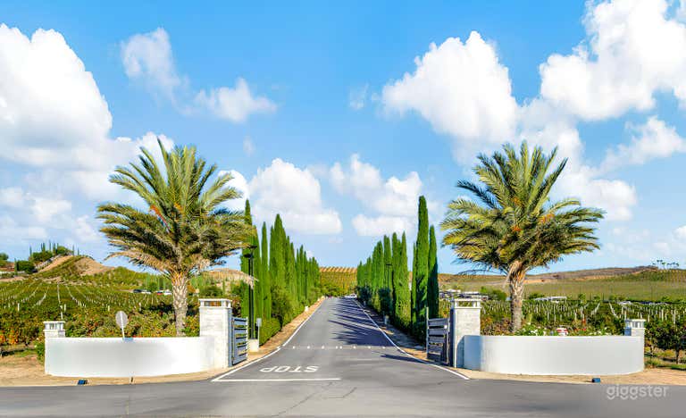  Luxury Five-Acre Estate in Temecula Wine Country 